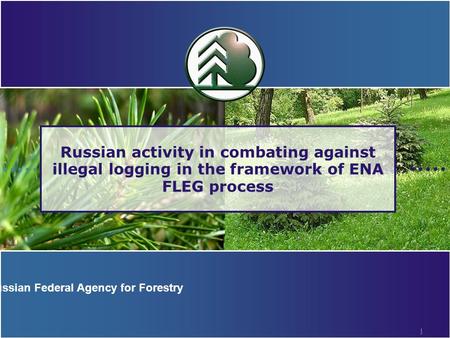 1 Russian activity in combating against illegal logging in the framework of ENA FLEG process Russian Federal Agency for Forestry.