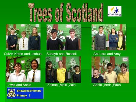 Shawlands Primary Primary 7 Calvin Katrin and Joshua Suhayb and Russell Abu Iqra and Amy Lewis and Annie Zainab,Mairi,Zain Abbie,Amir,Eden.