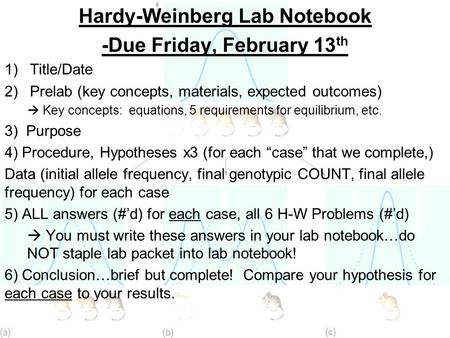 Hardy-Weinberg Lab Notebook -Due Friday, February 13 th 1)Title/Date 2)Prelab (key concepts, materials, expected outcomes)  Key concepts: equations, 5.