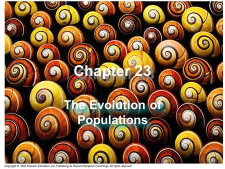 Chapter 23 The Evolution of Populations. A Common Misconception  Many people think individuals evolve.  This is not true.  Populations evolve as a.