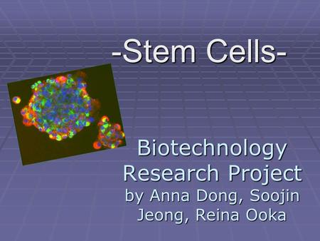 Biotechnology Research Project by Anna Dong, Soojin Jeong, Reina Ooka -Stem Cells-