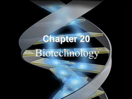 Chapter 20 Biotechnology.