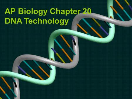 AP Biology Chapter 20 DNA Technology.