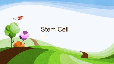 Stem Cell KSU. Stem Cell – Definition A cell that has the ability to continuously divide and differentiate (develop) into various other kind(s) of cells/tissues.
