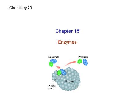 Chemistry 20 Chapter 15 Enzymes.