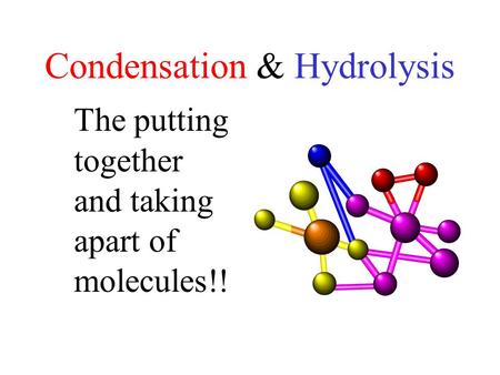 Condensation & Hydrolysis The putting together and taking apart of molecules!!