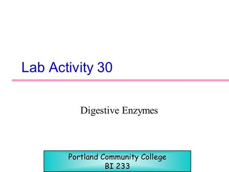 Lab Activity 30 Digestive Enzymes Portland Community College BI 233.