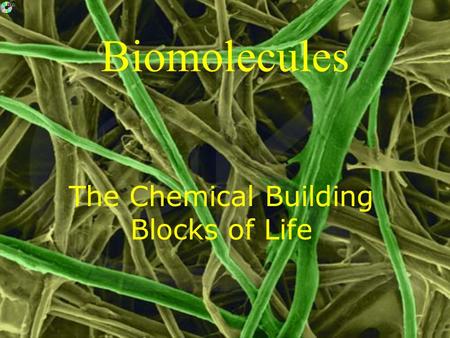 The Chemical Building Blocks of Life