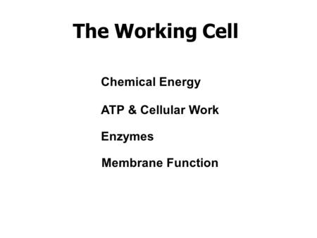 The Working Cell Chemical Energy ATP & Cellular Work Enzymes