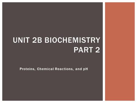 Proteins, Chemical Reactions, and pH UNIT 2B BIOCHEMISTRY PART 2.
