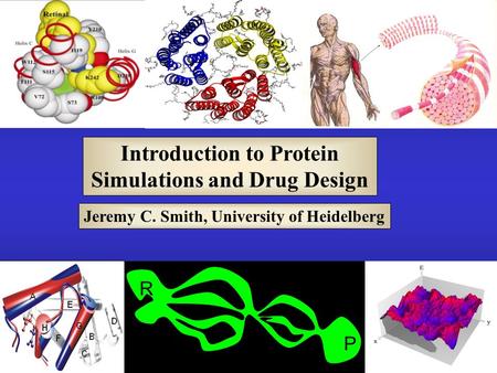 Jeremy C. Smith, University of Heidelberg Introduction to Protein Simulations and Drug Design R P.