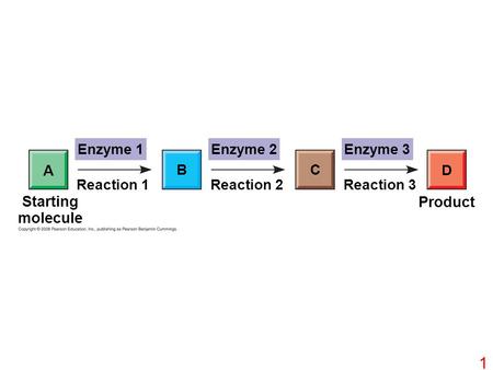 Enzyme 1Enzyme 2Enzyme 3 D CB A Reaction 1Reaction 3Reaction 2 Starting molecule Product 1.