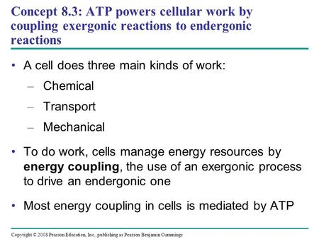 A cell does three main kinds of work: Chemical Transport Mechanical