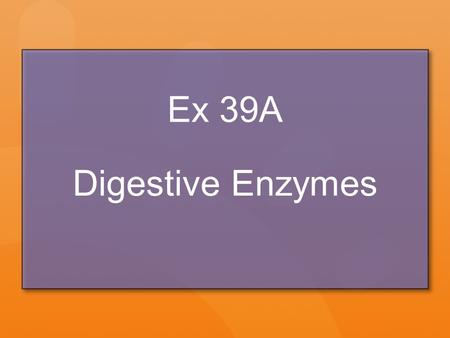 Ex 39A Digestive Enzymes. Energy Transfer in Chemical Reactions Forming new bonds can either release or absorb energy Chemical reactions usually involve.