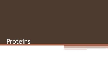 Proteins. You need to know that: Proteins have a variety of functions within all living organisms. The general structure of an amino acid Condensation.