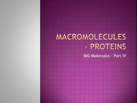 Macromolecules - Proteins