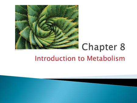Introduction to Metabolism. The living cell is a miniature chemical factory where thousands of reactions occur  The cell extracts energy and applies.
