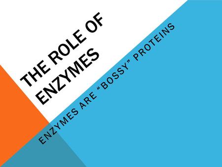 THE ROLE OF ENZYMES ENZYMES ARE “BOSSY” PROTEINS.
