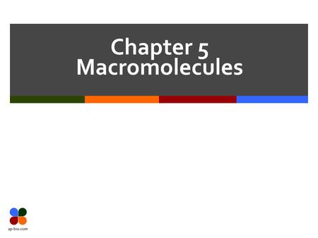 Chapter 5 Macromolecules. Slide 2 of 14 Slide 3 of 14 What is a Macromolecule?  Giant molecule  Consists of thousands of atoms  Carbs, Lipids, Proteins,
