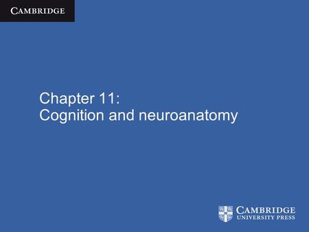 Chapter 11: Cognition and neuroanatomy. Three general questions 1.How is the brain anatomically organized? 2.How is the mind functionally organized? 3.How.
