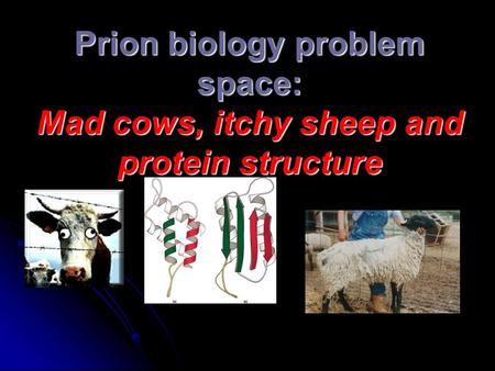 Prion biology problem space: Mad cows, itchy sheep and protein structure.