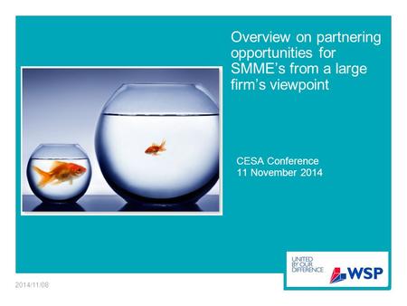 Overview on partnering opportunities for SMME’s from a large firm’s viewpoint CESA Conference 11 November 2014 2014/11/08.