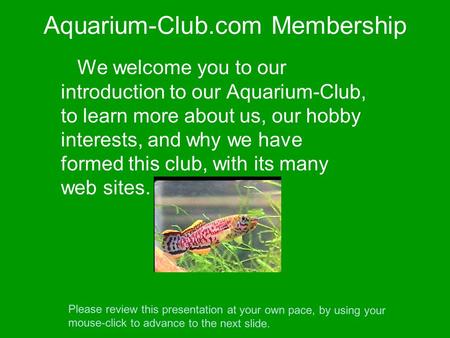 Aquarium-Club.com Membership We welcome you to our introduction to our Aquarium-Club, to learn more about us, our hobby interests, and why we have formed.