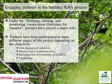 Engaging partners in the Sumatra KBA process  Under the “Defining, refining, and monitoring conservation Outcomes for Sumatra”, partners have played a.
