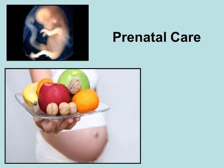 Prenatal Care. Eating Rights -“You are what you eat” (balanced diet) -Focus on “nutrient-dense” foods (high amount of nutrients per amount of calories)