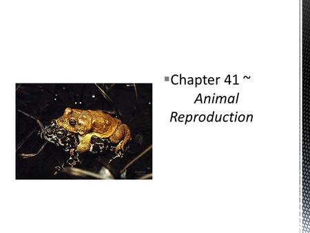 Chapter 41 ~  	Animal Reproduction