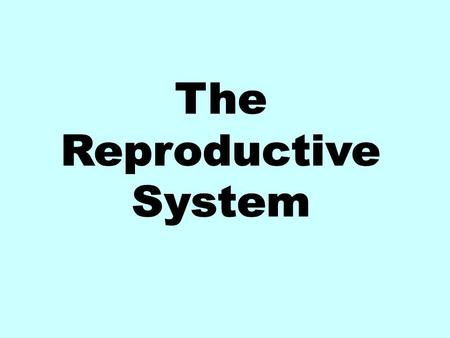 The Reproductive System.