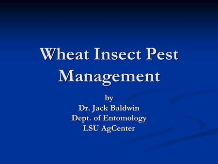 Wheat Insect Pest Management by Dr. Jack Baldwin Dept. of Entomology LSU AgCenter.