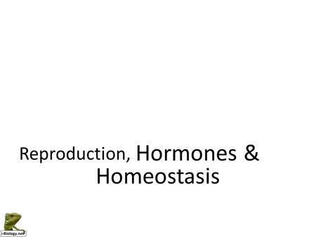Nerves, Hormones & Homeostasis Reproduction,. The Endocrine System A stimulus is received and processed. Hormones are secreted directly into the blood.