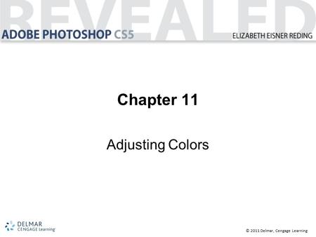 © 2011 Delmar, Cengage Learning Chapter 11 Adjusting Colors.