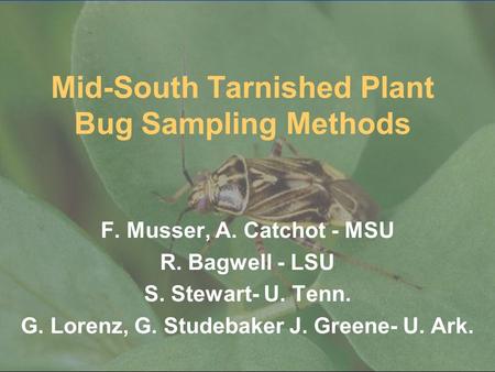 Mid-South Tarnished Plant Bug Sampling Methods F. Musser, A. Catchot - MSU R. Bagwell - LSU S. Stewart- U. Tenn. G. Lorenz, G. Studebaker J. Greene- U.