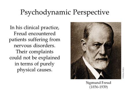 Psychodynamic Perspective In his clinical practice, Freud encountered patients suffering from nervous disorders. Their complaints could not be explained.