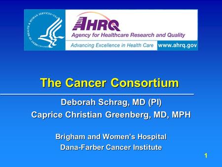 1 The Cancer Consortium Deborah Schrag, MD (PI) Caprice Christian Greenberg, MD, MPH Brigham and Women’s Hospital Dana-Farber Cancer Institute.