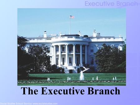 The Executive Branch.