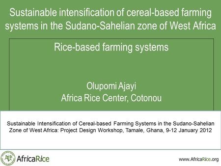 Sustainable intensification of cereal-based farming systems in the Sudano-Sahelian zone of West Africa Rice-based farming systems Olupomi Ajayi Africa.