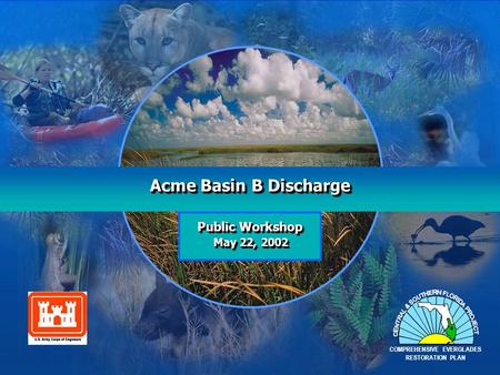 Acme Basin B Discharge Public Workshop May 22, 2002 COMPREHENSIVE EVERGLADES RESTORATION PLAN.