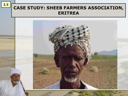 CASE STUDY: SHEEB FARMERS ASSOCIATION, ERITREA 2.3.