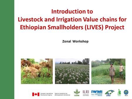 Introduction to Livestock and Irrigation Value chains for Ethiopian Smallholders (LIVES) Project Zonal Workshop.