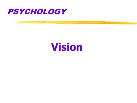 PSYCHOLOGY Vision.