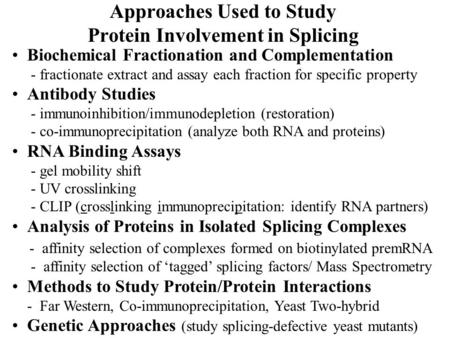 Approaches Used to Study Protein Involvement in Splicing Biochemical Fractionation and Complementation - fractionate extract and assay each fraction for.