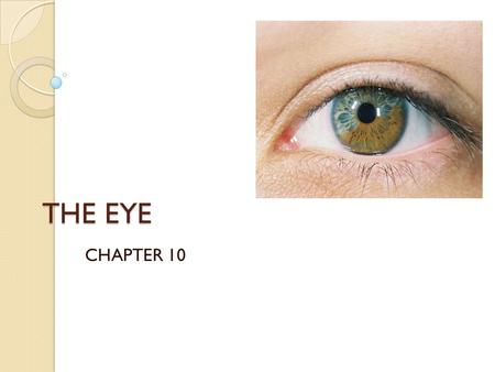 THE EYE CHAPTER 10. QOD #1: Pre-Test 1.) What are the 5 senses? 2.) T/F Of all the sensory receptors in the body, 70% are in the eyes. 3.) T/F Your eyebrows.