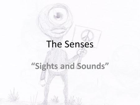 The Senses “Sights and Sounds”. Anatomy of External Eye Eyes protected by eyelids, which meet at canthus Eyelashes at borders Tarsal glands – secrete.