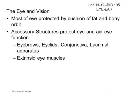 BIOL 105--Lab 12—Eye 1 The Eye and Vision Most of eye protected by cushion of fat and bony orbit Accessory Structures protect eye and aid eye function.