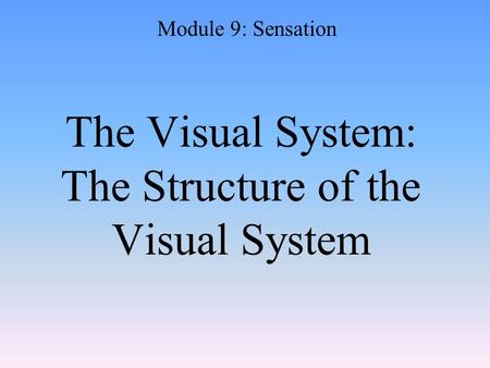 The Visual System: The Structure of the Visual System Module 9: Sensation.