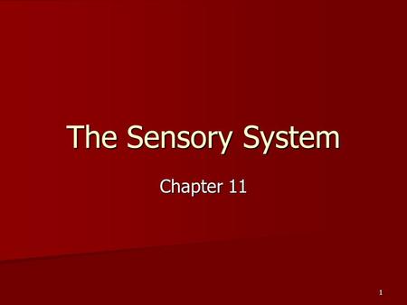 1 The Sensory System Chapter 11. 2 The Sensory System: Protects us by detecting changes in the environment Protects us by detecting changes in the environment.