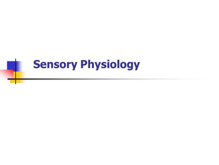 Sensory Physiology. Sensory Receptors Perceptions created by the brain from action potentials sent from sensory receptors. Sensory receptors respond to.